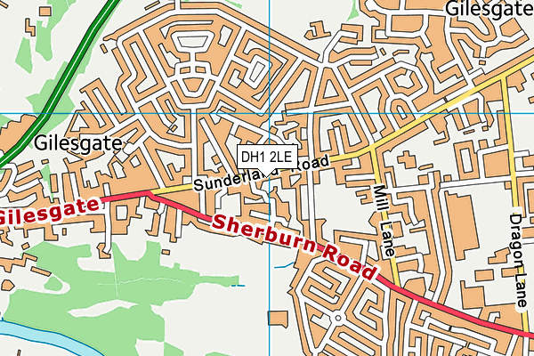 DH1 2LE map - OS VectorMap District (Ordnance Survey)