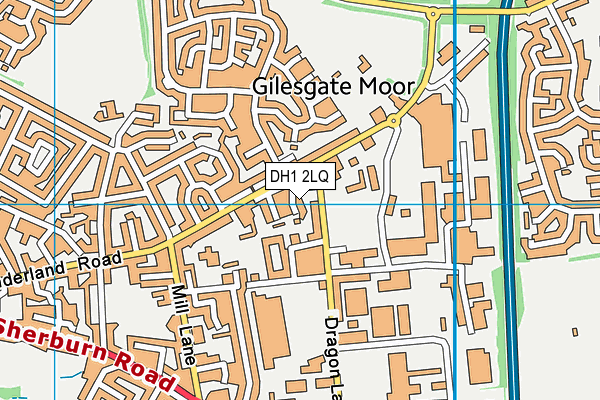 DH1 2LQ map - OS VectorMap District (Ordnance Survey)