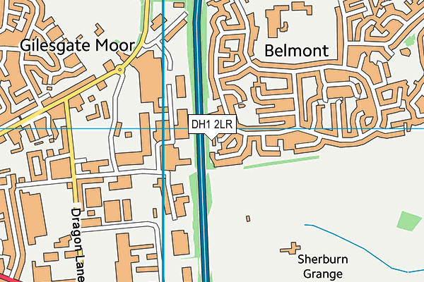 DH1 2LR map - OS VectorMap District (Ordnance Survey)