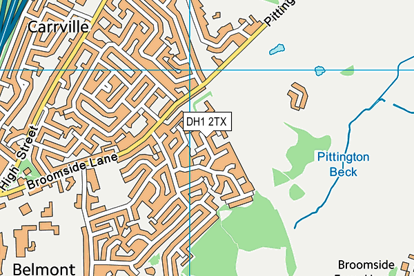 Belmont Cheveley Park Primary School map (DH1 2TX) - OS VectorMap District (Ordnance Survey)