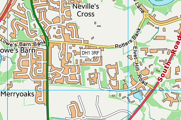 DH1 3RF map - OS VectorMap District (Ordnance Survey)