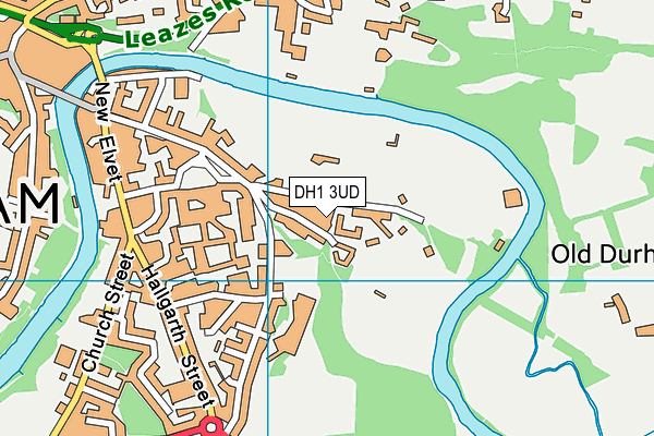 DH1 3UD map - OS VectorMap District (Ordnance Survey)