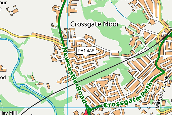 DH1 4AS map - OS VectorMap District (Ordnance Survey)