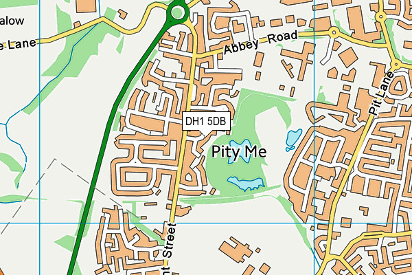 DH1 5DB map - OS VectorMap District (Ordnance Survey)