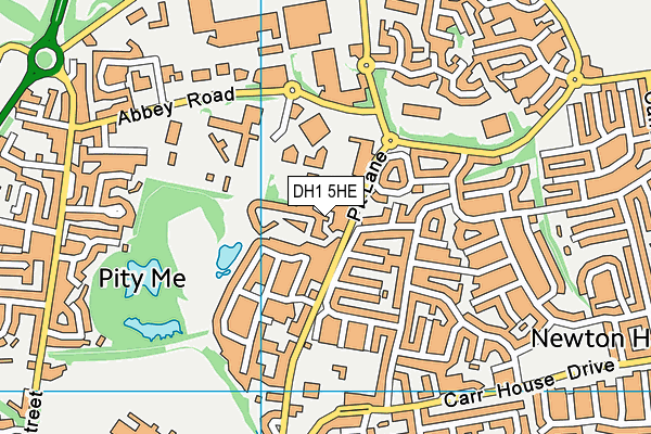 DH1 5HE map - OS VectorMap District (Ordnance Survey)
