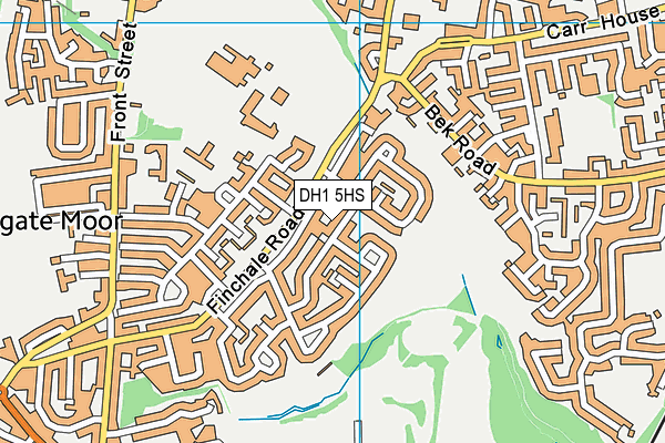 DH1 5HS map - OS VectorMap District (Ordnance Survey)