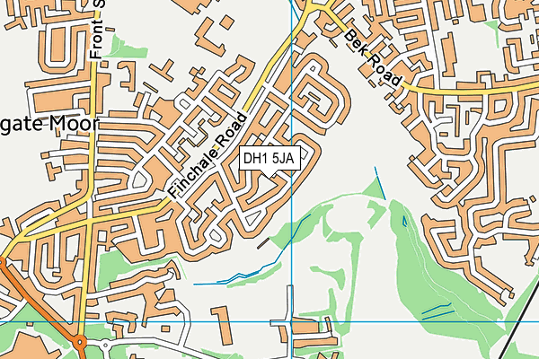 DH1 5JA map - OS VectorMap District (Ordnance Survey)