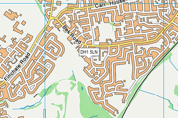 DH1 5LN map - OS VectorMap District (Ordnance Survey)