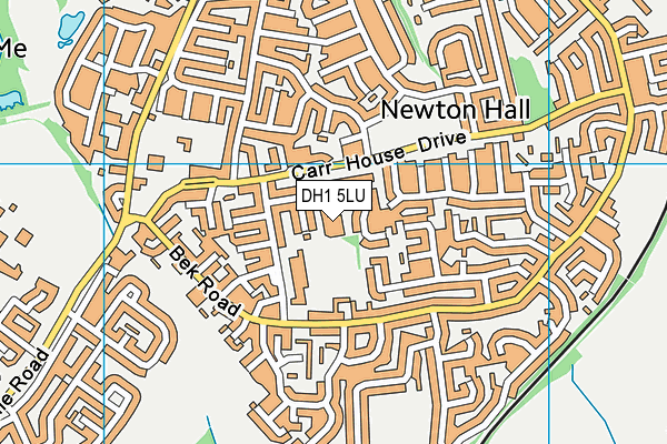 DH1 5LU map - OS VectorMap District (Ordnance Survey)