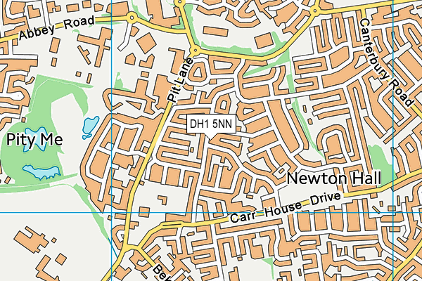 DH1 5NN map - OS VectorMap District (Ordnance Survey)