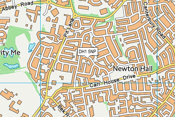 DH1 5NP map - OS VectorMap District (Ordnance Survey)