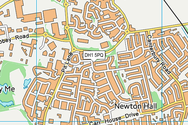 DH1 5PQ map - OS VectorMap District (Ordnance Survey)
