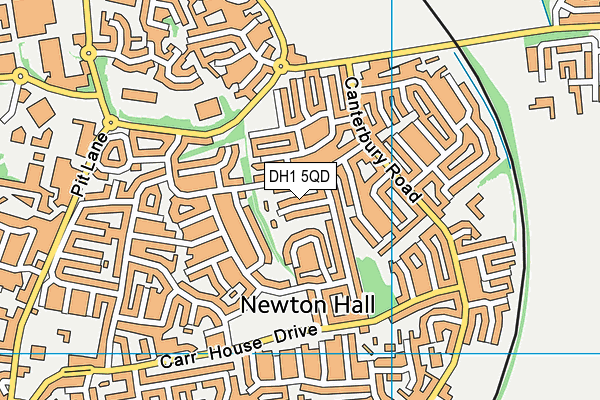 DH1 5QD map - OS VectorMap District (Ordnance Survey)