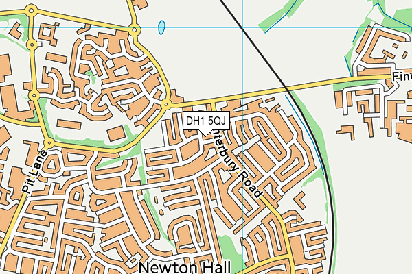 DH1 5QJ map - OS VectorMap District (Ordnance Survey)