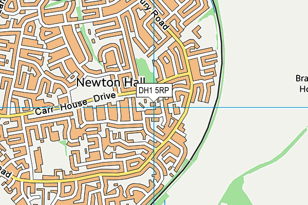 DH1 5RP map - OS VectorMap District (Ordnance Survey)