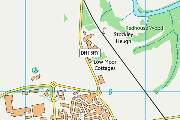 DH1 5RY map - OS VectorMap District (Ordnance Survey)