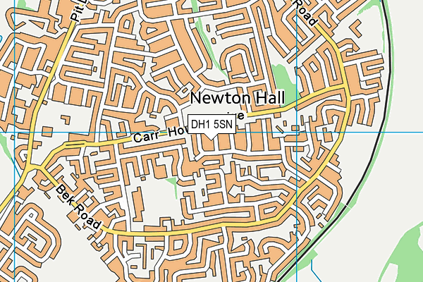 DH1 5SN map - OS VectorMap District (Ordnance Survey)