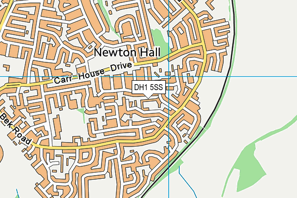 DH1 5SS map - OS VectorMap District (Ordnance Survey)