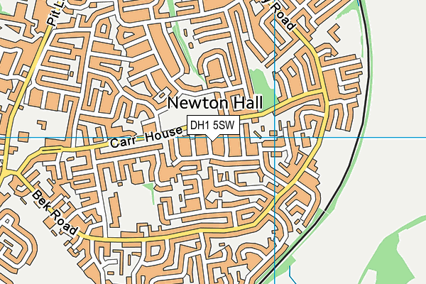 DH1 5SW map - OS VectorMap District (Ordnance Survey)