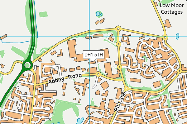 DH1 5TH map - OS VectorMap District (Ordnance Survey)