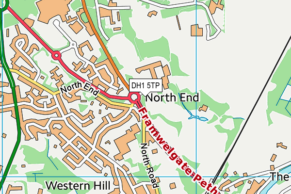 DH1 5TP map - OS VectorMap District (Ordnance Survey)