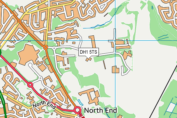 DH1 5TS map - OS VectorMap District (Ordnance Survey)