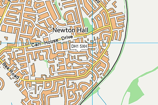DH1 5XH map - OS VectorMap District (Ordnance Survey)