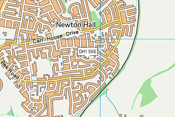 DH1 5XS map - OS VectorMap District (Ordnance Survey)