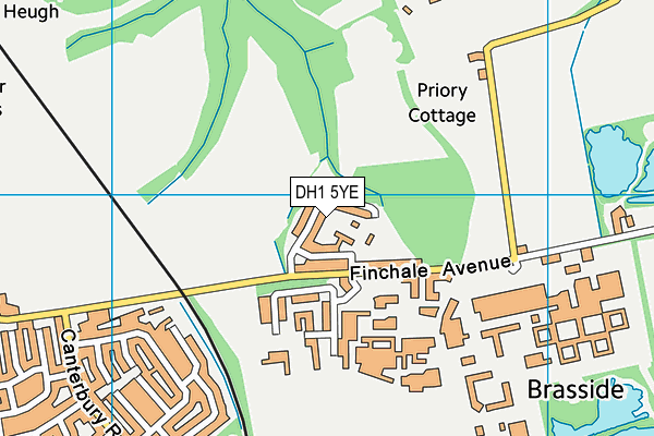 DH1 5YE map - OS VectorMap District (Ordnance Survey)