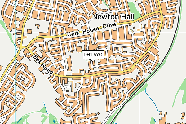 DH1 5YG map - OS VectorMap District (Ordnance Survey)