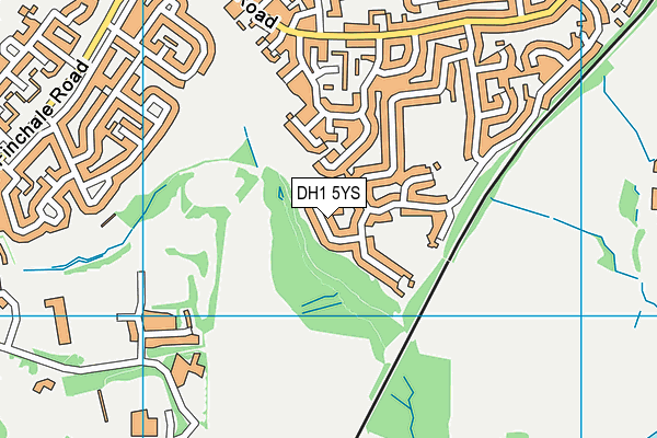 DH1 5YS map - OS VectorMap District (Ordnance Survey)