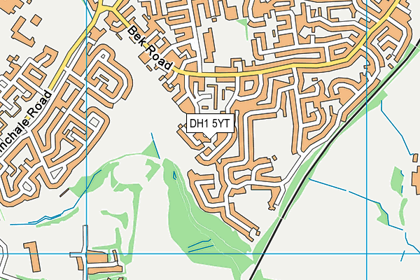 DH1 5YT map - OS VectorMap District (Ordnance Survey)