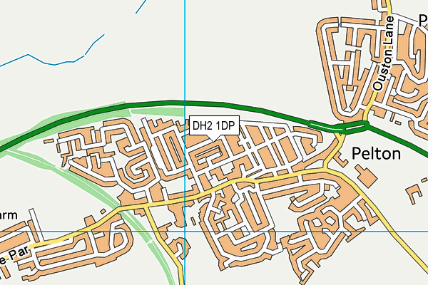 DH2 1DP map - OS VectorMap District (Ordnance Survey)