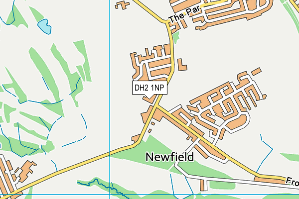 DH2 1NP map - OS VectorMap District (Ordnance Survey)