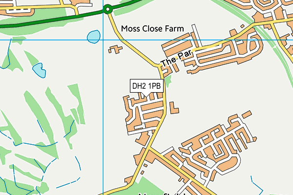 DH2 1PB map - OS VectorMap District (Ordnance Survey)