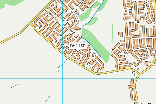 DH2 1SD map - OS VectorMap District (Ordnance Survey)