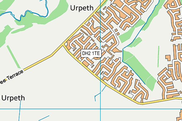 DH2 1TE map - OS VectorMap District (Ordnance Survey)