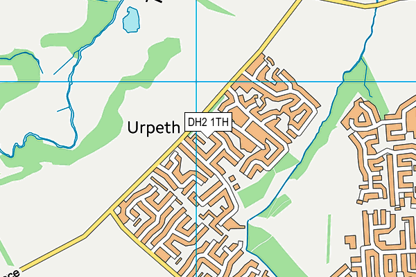 DH2 1TH map - OS VectorMap District (Ordnance Survey)