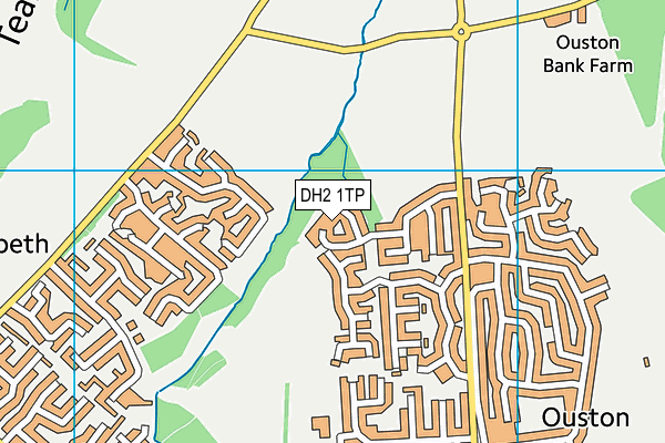 DH2 1TP map - OS VectorMap District (Ordnance Survey)
