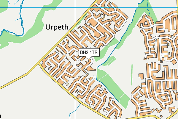 DH2 1TR map - OS VectorMap District (Ordnance Survey)