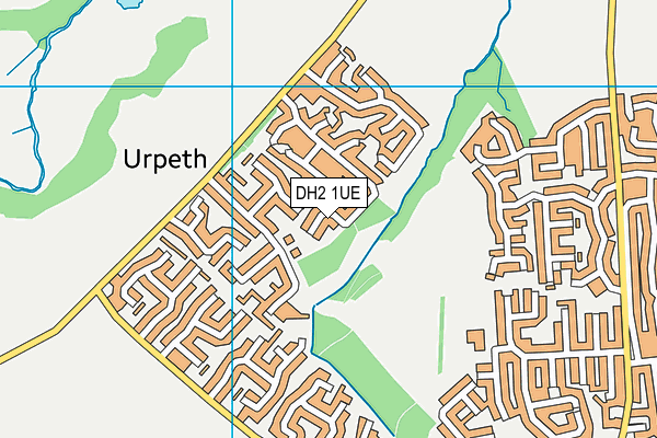 DH2 1UE map - OS VectorMap District (Ordnance Survey)
