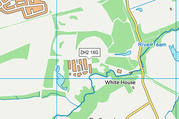 DH2 1XG map - OS VectorMap District (Ordnance Survey)