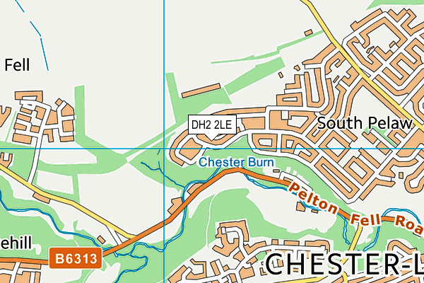 DH2 2LE map - OS VectorMap District (Ordnance Survey)