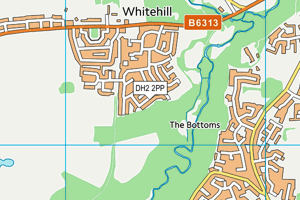 DH2 2PP map - OS VectorMap District (Ordnance Survey)