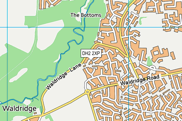 DH2 2XP map - OS VectorMap District (Ordnance Survey)