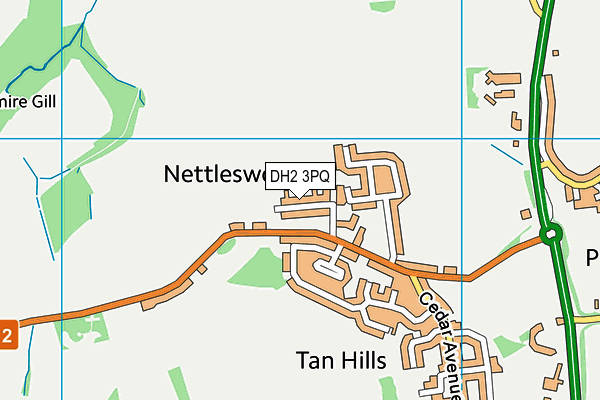 Nettlesworth Playing Field map (DH2 3PQ) - OS VectorMap District (Ordnance Survey)