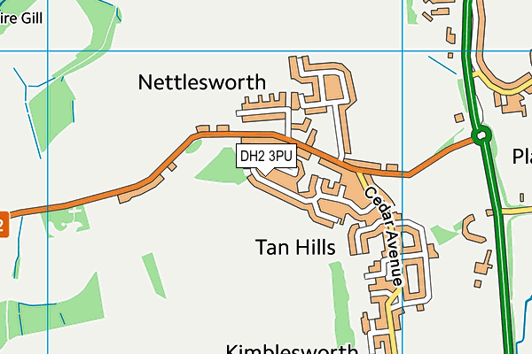 DH2 3PU map - OS VectorMap District (Ordnance Survey)