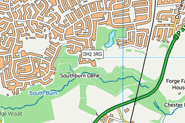 DH2 3RG map - OS VectorMap District (Ordnance Survey)