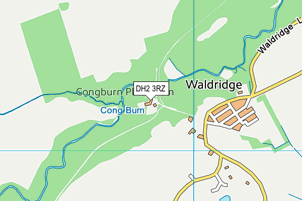 DH2 3RZ map - OS VectorMap District (Ordnance Survey)
