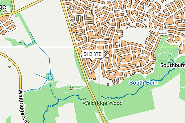 DH2 3TE map - OS VectorMap District (Ordnance Survey)